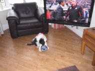 WOW look the match is on